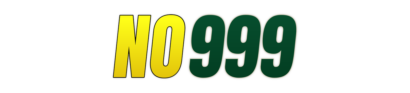 no999 Logo